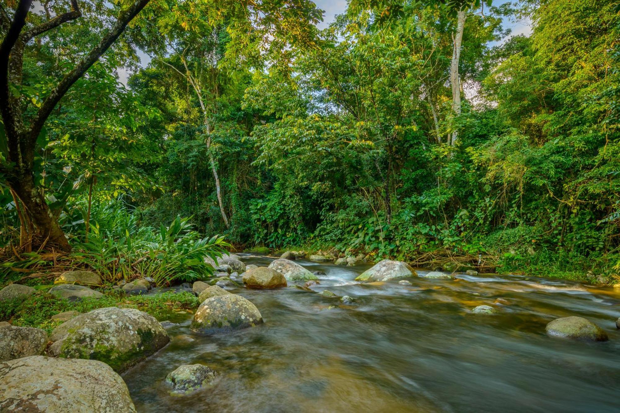 Velinn Pousada Bromelias Ilhabela Esterno foto